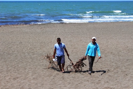 Deniz ve sahillerden 437 ton atık toplandı